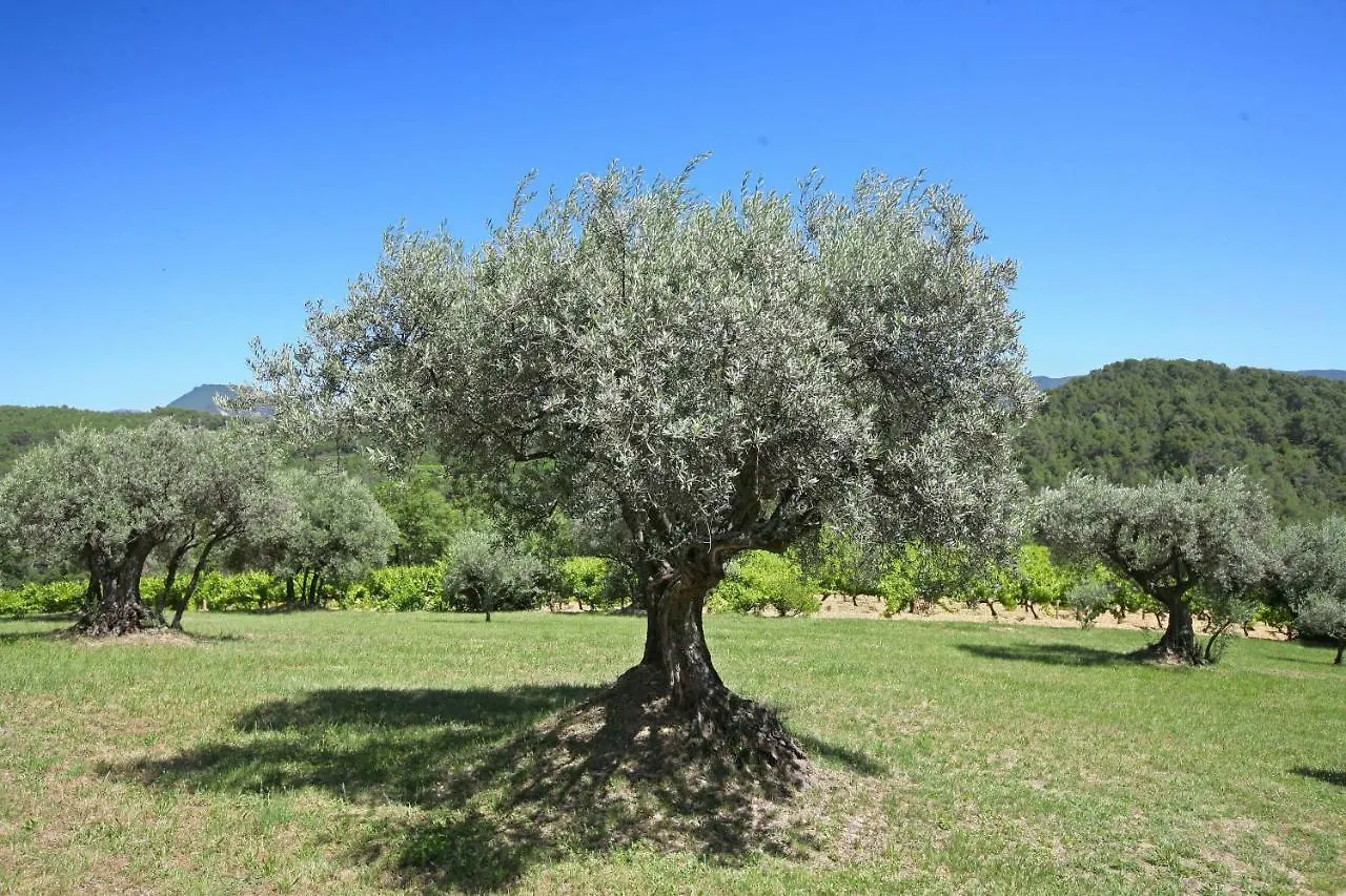 Holiday Home Gite De Marie Velleron France